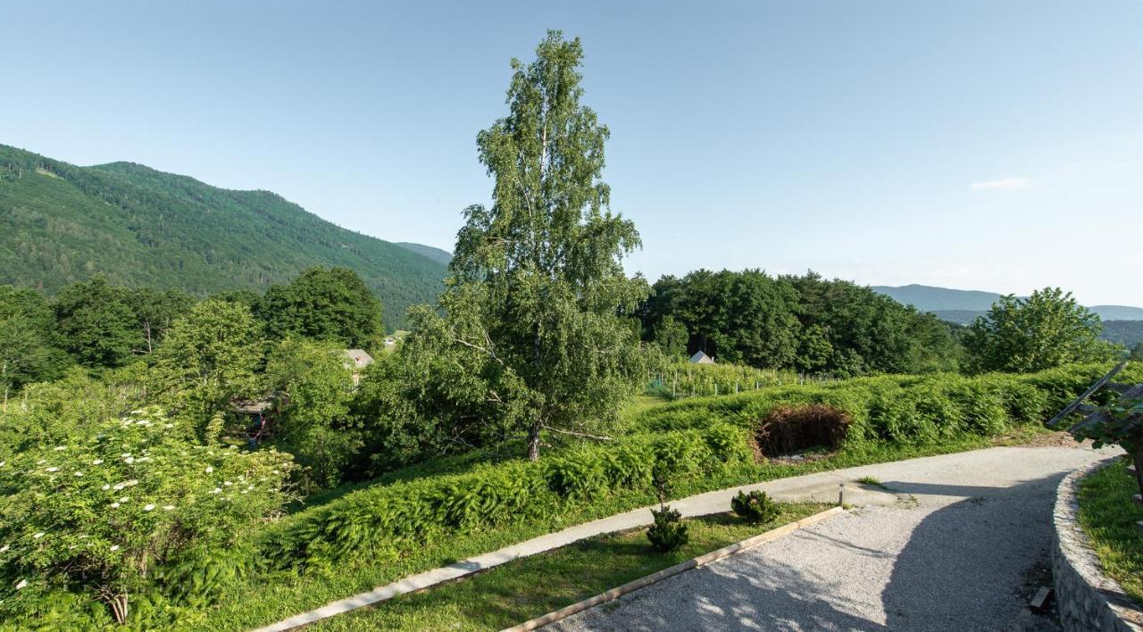 Zidan'Ca Rosel Apartment Dolenjske Toplice Bagian luar foto