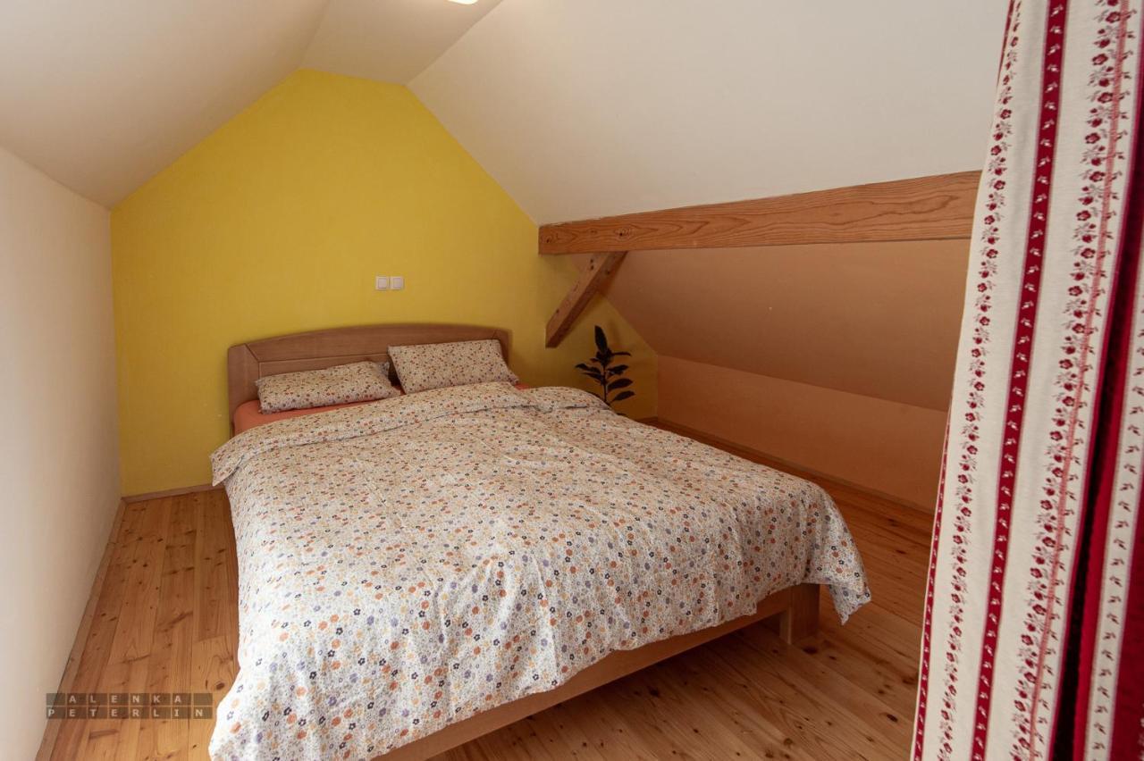 Zidan'Ca Rosel Apartment Dolenjske Toplice Bagian luar foto