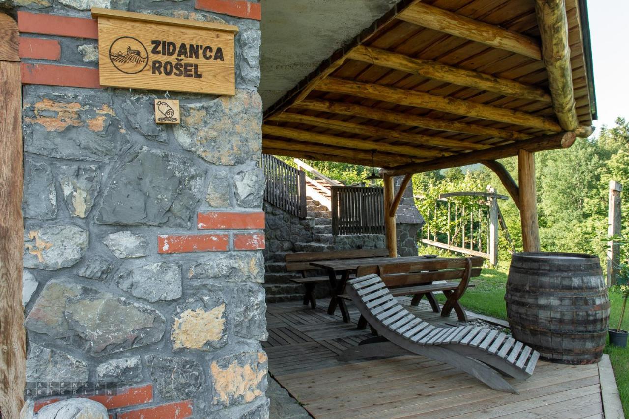 Zidan'Ca Rosel Apartment Dolenjske Toplice Bagian luar foto
