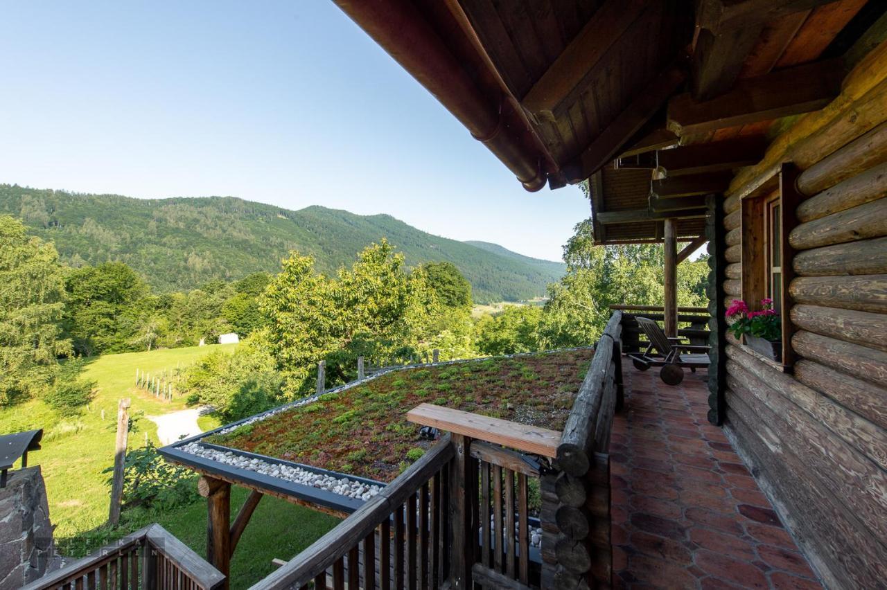 Zidan'Ca Rosel Apartment Dolenjske Toplice Bagian luar foto